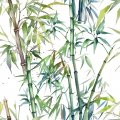 Image for Bamboo Illustration Wall Mural