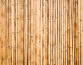 Image for Bamboo Screen Wall Mural