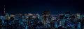 Image for Tokyo Skyline Wall Mural