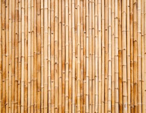 Image for Bamboo Screen Wall Mural