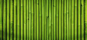 Image for Nighttime Bamboo Wall Mural