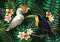 Image for Tropical Birds Wall Mural